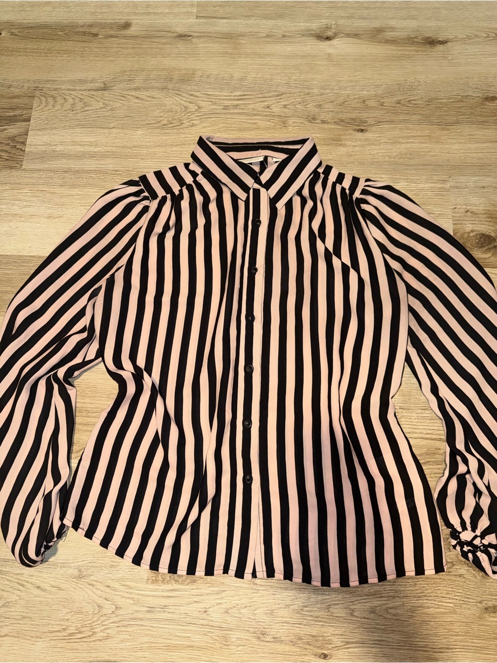 eva mendes for New York & Company Pink and Black Striped Collared Blouse